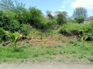 ขาย ที่ดิน ต.ปึกเตียน อ.ท่ายาง จ.เพชรบุรี  PAPC2_0009 C015
