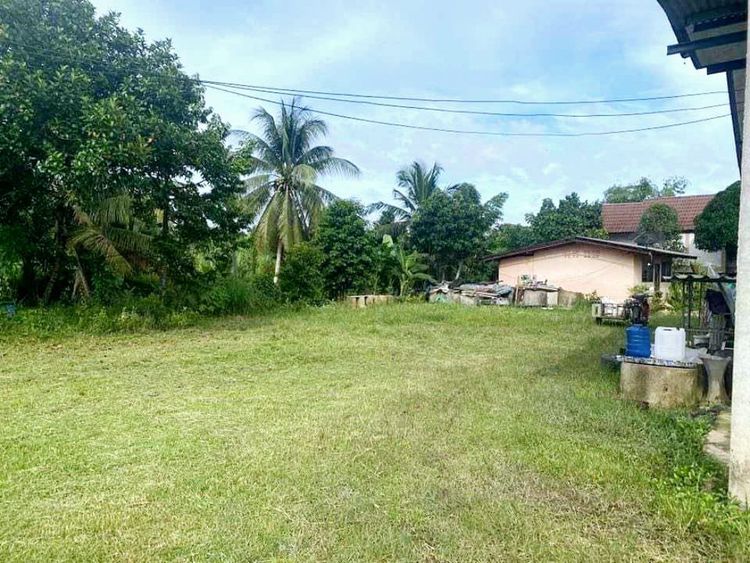ขาย บ้านเดี่ยว  171 ตร.วา ติดถนนไชยบุรี ติดคลอง ใกล้ตัวเมืองพัทลุง, ภาพที่ 4