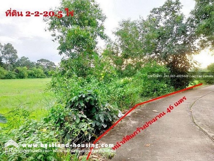 ขายที่ดิน 2 ไร่ 2 งาน 20.5 ไร่ ใกล้ถนนปราจีนตะคาม เพียง 100 เมตร, ภาพที่ 4