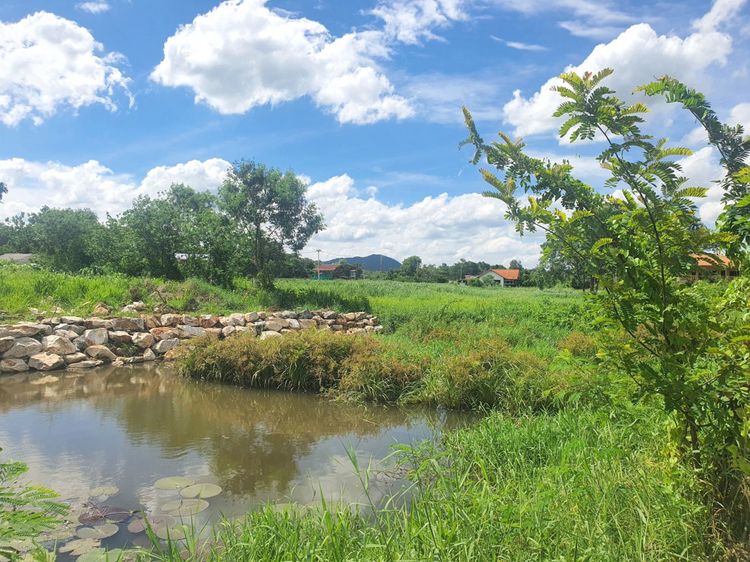ขาย ที่ดิน เขาใหญ่ ต.​หมูสี​ อ.ปากช่อง 498.9 ตรว เห็นทิวเขา สวยสุดๆ​, ภาพที่ 4