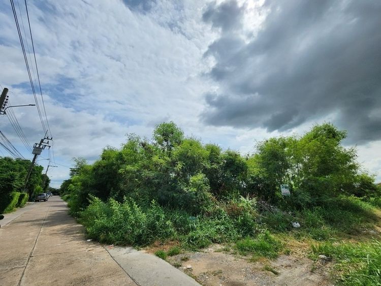 ขายที่ดินจัดสรรราคาถูกมาก โคกแฝด หนองจอก, ภาพที่ 4