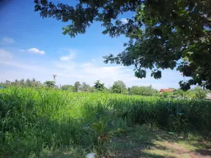 ขายที่ดินแปลงสวย ขนาด 5 ไร่ 3 งาน 41 ตร.ว. ติดถนนเพชรหึงษ์ ใกล้แหล่งท่องเที่ยวเชิงธรรมชาติ ต.บางน้ำผึ้ง อ.พระประแดง  จ.สมุทรปราการ