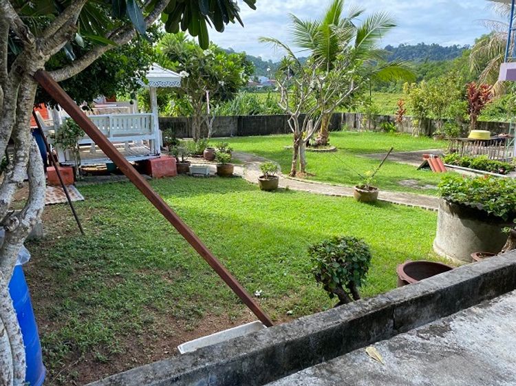 ขายที่ดินพร้อมบังกะโล ขนาด 338 ตรว ใกล้สนามบินภูเก็ต อำเภอถลาง, ภาพที่ 4