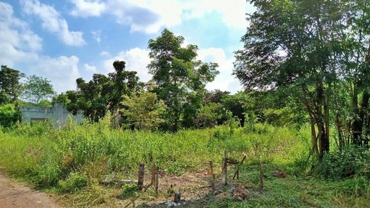 ขาย ที่ดิน ต.หนองปลิง อ.เมืองกำแพงเพชร จ.กำแพงเพชร   PAP1-0479, ภาพที่ 4