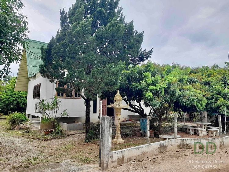 DD-0221 ขายบ้านสวน 237.2 ตร.วา สภาพดี ต.ริมปิง อ.เมือง จ.ลำพูน, ภาพที่ 4