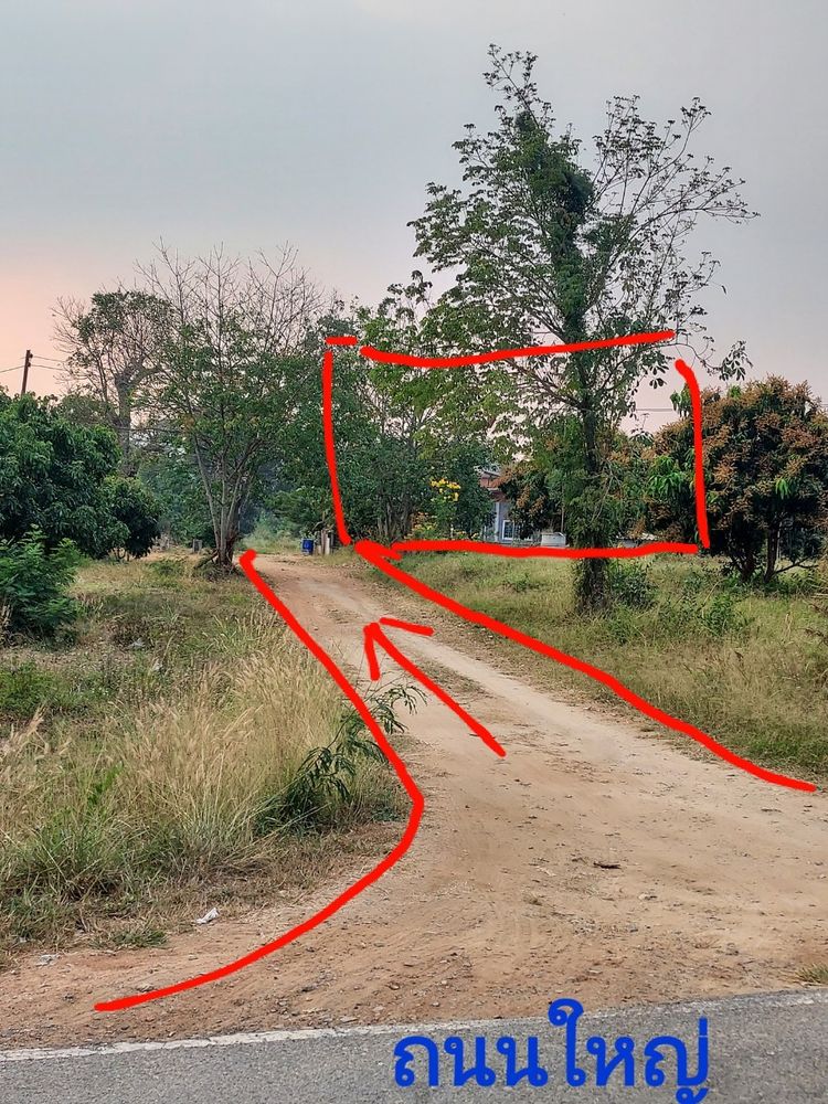 ขายบ้านพร้อมที่ดิน (ขายด่วน), ภาพที่ 4
