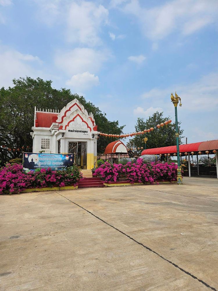 ขายที่ดิน 5 ไร่ อยู่หลังสำนักงานเทศบาล ตำบลคูเมือง บุรีรัมย์ , ภาพที่ 4