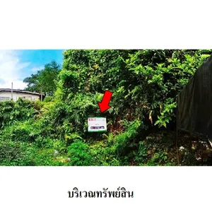 ขาย ที่ดิน ตำบลเขานิเวศน์ อำเภอเมืองระนอง จังหวัดระนอง