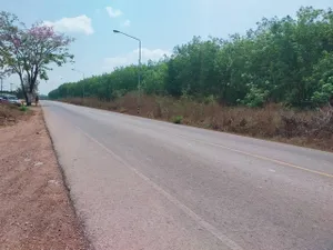 ขายสวนยาง 191 ไร่ติดถนนลาดยาง เขตเขาวงกต อ.แก่งหางแมว จ.จันทบุรี