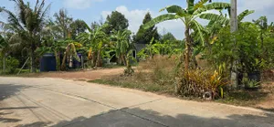 ขายที่ดินถมแล้วติดถนนคอนกรีต เขตตะพง เมืองระยอง 185 ตรว.