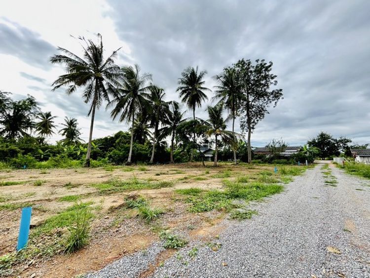 ขายที่ดินบ้านสวนชายคลอง  ขนาดพื้นที่ 75 ตารางวา อำเภอสามร้อยยอด, ภาพที่ 4