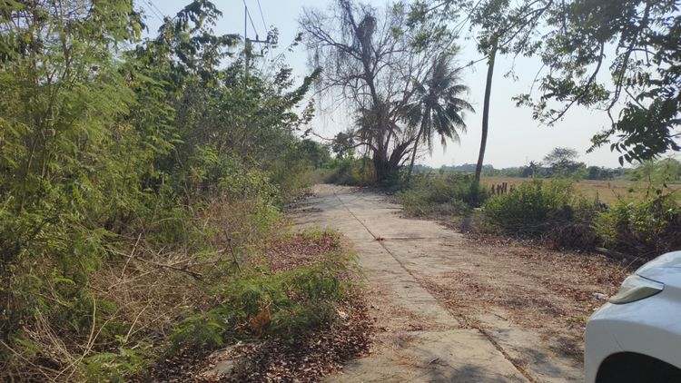 ที่ดินจัดสรรในเขตเทศบาลลาดหลุมแก้ว จ.ปทุมธานี, ปทุมธานี, ภาพที่ 4