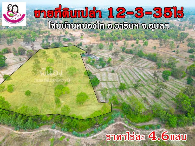 ขายที่ดินเปล่า 12ไร่ 3งาน 35ตารางวา (ที่ดินโฉนด นส.4 ครุฑแดง) ต.ธาตุ, ภาพที่ 4