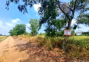 ขายที่ดิน คลอง 5 ซอยคลองห้าตะวันตก 61 ถนนรังสิต-นครนายก อำเภอคลองหลวง ปทุมธานี