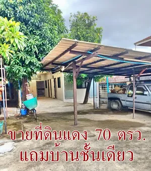ขายที่ดินแดง 70 ตรว. แถมบ้านชั้นเดียว ตรว.ละ 100,000 บาท