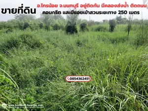 ขายที่ดินเปล่า 2 แปลงแปลงละ 2.5 ล้านบาท อ. ไทรน้อย จ.นนทบุรี 