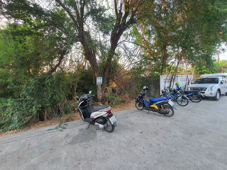 ขาย ที่ดิน 131 ตร.ว. พหล54/1 แยก4-32 ใกล้วัดเกาะ, ภาพที่ 4