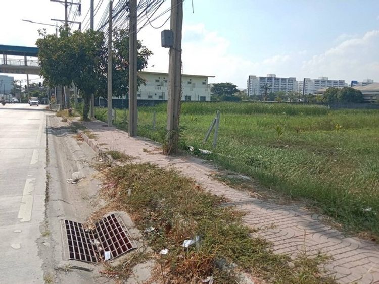ให้เช่าและขายที่ดิน8ไร่+ ติดถนนวัดศรีวารีน้อย ตำบลบางโฉลง, ภาพที่ 4