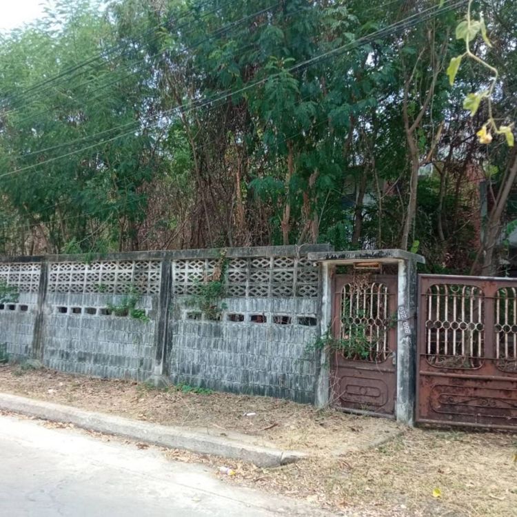 ขาย ที่ดิน 100 ตร.วา หมู่บ้านเมืองทอง 4 
สุขุมวิท 101, ภาพที่ 4