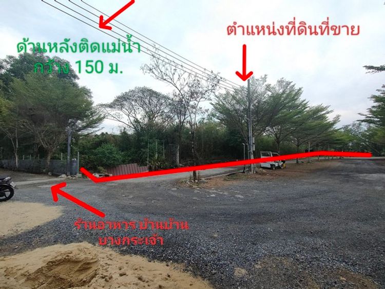 ขายที่ดินแปล่าติดริมแม่น้ำเจ้าพระยา คุ้งน้ำบางกระเจ้า ซอยเพชรหึงษ์ 20, ภาพที่ 4
