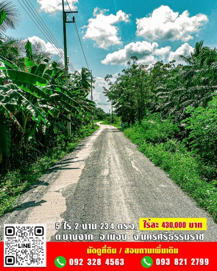 ขาย ที่ดิน สวนปาล์ม❗5 ไร่ 2 งาน 23.4 ตร.ว. ✅โฉนดครุฑแดง นส4จ ไร่ละ บาท, ภาพที่ 4