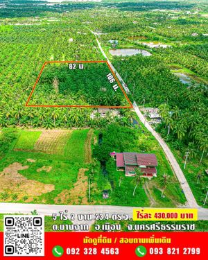 ขาย ที่ดิน สวนปาล์ม❗5 ไร่ 2 งาน 23.4 ตร.ว. ✅โฉนดครุฑแดง นส4จ ไร่ละ 430,000 บาท ต่อรองได้ พิกัด อ.เมืองนครศรีธรรมราช 5 ไร่ 2 งาน 23.4 ตร.วา