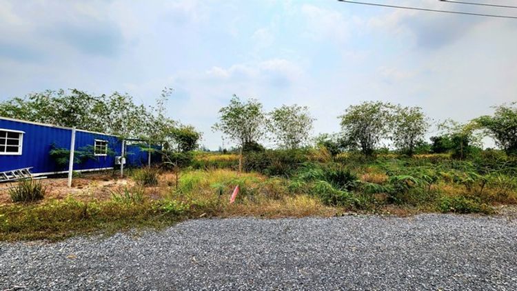 ขายที่ดิน คลอง 15 องครักษ์ ย่านตลาดค้าขายต้นไม้ 100 ตรว ทำสวน, ภาพที่ 4