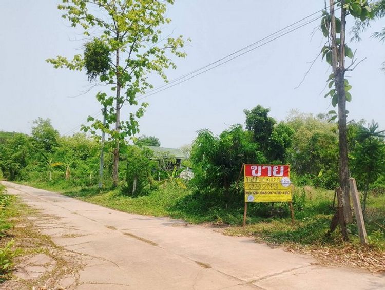 ขายที่ดินสวย 210 ตร.วา  ใกล้ The Forrest Coffee   ZP111, ภาพที่ 4