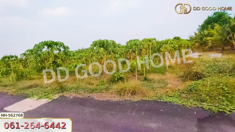 ที่ดิน อ.โพธาราม 1 ไร่ 383.2 ตร.ว. ราชบุรี, ภาพที่ 4