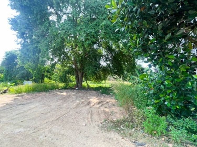 Vacant land for rent, area 370 sq.w, near Koh Samui airport., ภาพที่ 4
