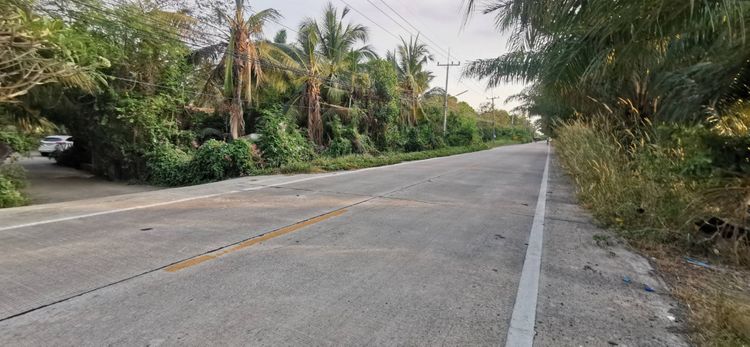 ขาย ที่ดิน หนองเสือ 511 ไร่ 2 งาน 28 ตร.วา เหมาะทำ โครงการหมู่บ้าน, ภาพที่ 4