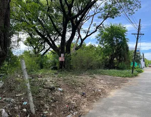 ขายที่ดิน บางกะปิ นวมินทร์ 24 หมู่บ้านศรีนครพัฒนา 202 ตรว. เหมาะสร้างบ้านเดี่ยว สำนักงาน ออฟฟิศ