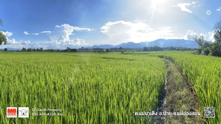ขายที่ดินสวย 5-0-35 ไร่ บ้านนาจลอง อ.ปาย แม่ฮ่องสอน, ใกล้วัดนาจลอง, , ภาพที่ 4