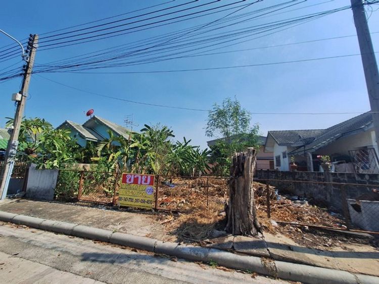 ขายที่ดินสวย ถมแล้ว  60 ตร.วา ราคาไม่แรง  หมู่บ้านสวนปาล์มลากูล   ZW368, ภาพที่ 4