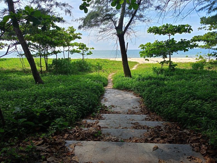 ขายที่ดินหน้าหาดแม่รำพึง ทำเลทอง ใกล้ Central Rayong ขนาดกว่า 10 ไร่, ภาพที่ 4