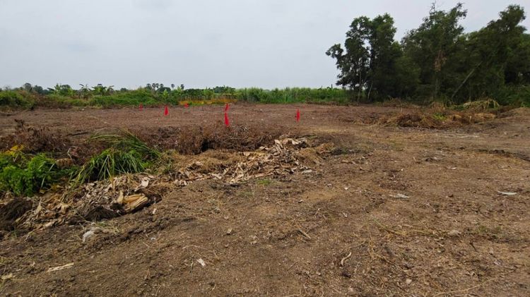 ขาย ขาดทุนที่ดินคลอง4คลองหลวง ถูกมาก  ปทุมธานี ID-14281, ภาพที่ 4
