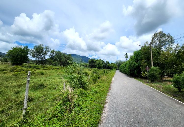 ขายที่ดิน เขายายดา ทางหลวงชนบท ถนนสุขุมวิท ตำบลตะพง อำเภอเมือง ระยอง, ภาพที่ 4