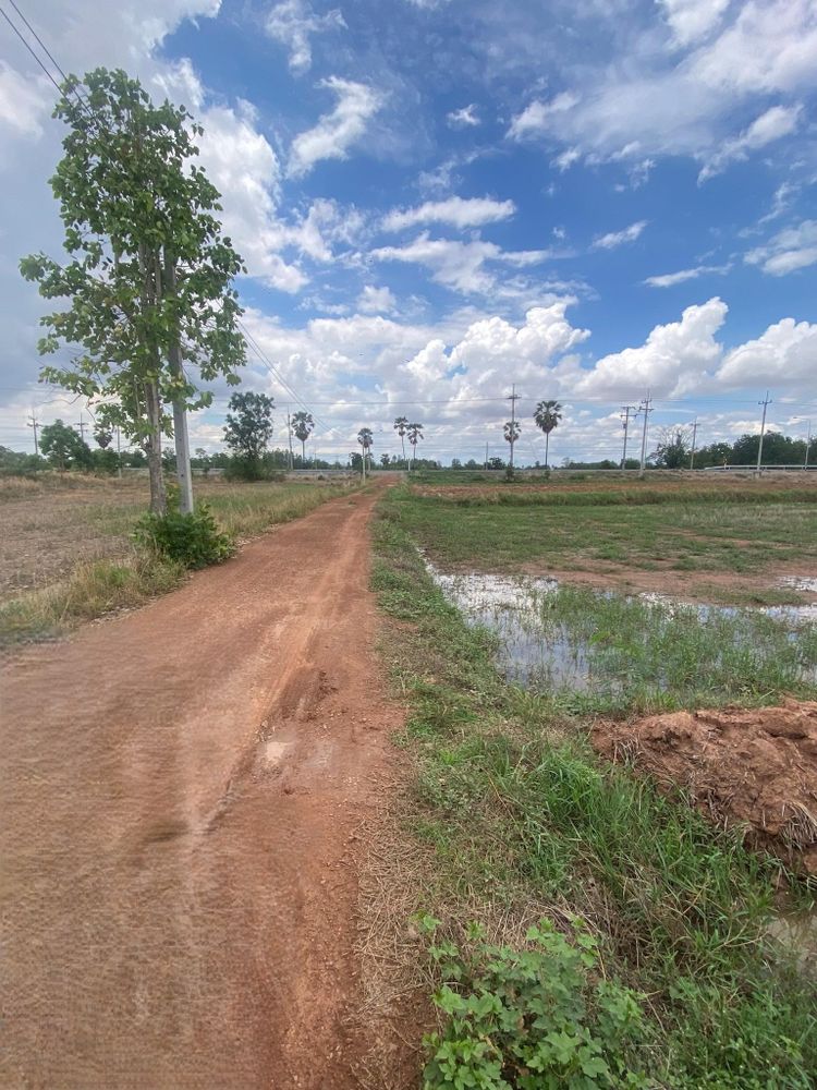 ขายที่ดินแปลงสวย ติดถนนใหญ่ลาดยางกว้าง 10 เมตร, ภาพที่ 4