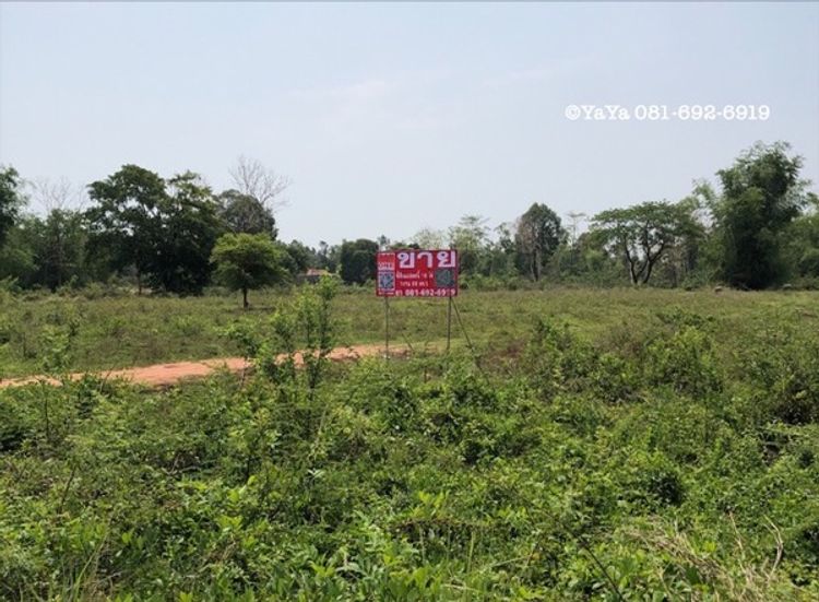 ขาย ที่ดิน แปลงสวย ตำบลวิศิษฐ์ บึงกาฬ ใกล้สะพานมิตรภาพไทย-ลาว  , ภาพที่ 4
