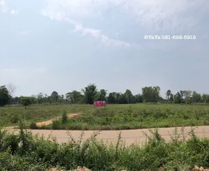 ขาย ที่ดิน แปลงสวย ตำบลวิศิษฐ์ บึงกาฬ ใกล้สะพานมิตรภาพไทย-ลาว  