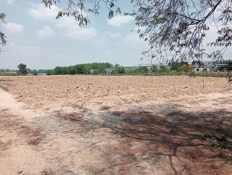 ขายที่ดินระยอง นิคมพัฒนา 31ไร่ 57.2 ตรว. ผังสีม่วงลาย ติดถนนซอย12, ภาพที่ 4