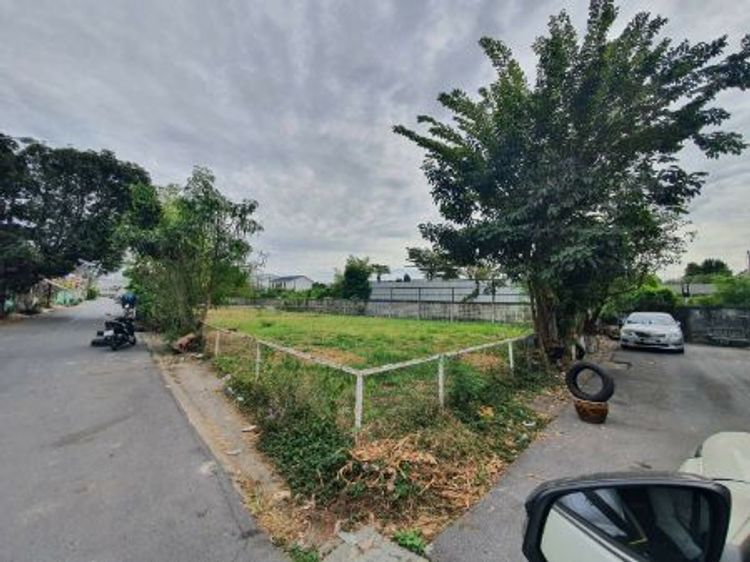 ขาย ที่ดิน แปลงมุม ที่ดินดอนเมือง 100.2 ตร.วา อยู่ทรงประภา9., ภาพที่ 4