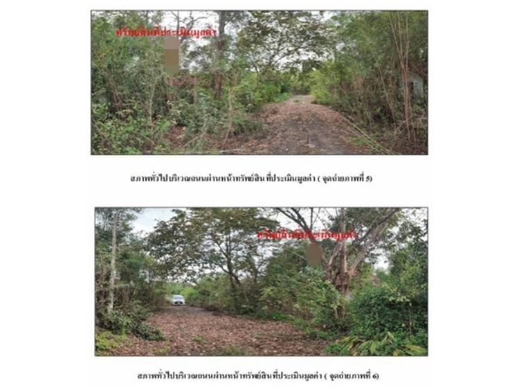 ขายบ้านเดี่ยว  หมู่บ้านกรีน วัลเล่ย์ ลากูน  นครนายก (G-NYK-LB-A-650001), ภาพที่ 4