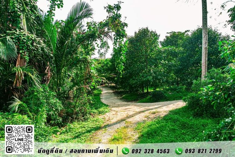 ขาย ที่ดิน ขายที่ดินอำเภอเมืองนครศรีธรรมราช
เนื้อที่ 8 ไร่ 1 งาน 97.9, ภาพที่ 4