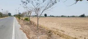 ที่ดินสุพรรณบุรี หนองหญ้าไซติดถนนลาดยาง 9ไร่ 3 งาน