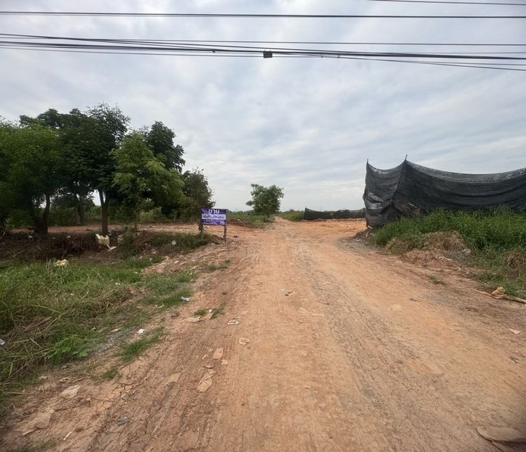 ขาย ที่ดิน แปลงสวย ติด4เลนส์เลี่ยงเมือง พิษณุโลก หัวรอ ที่ดินเศรษฐกิจ 1, ภาพที่ 4