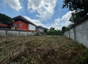 ให้เช่าที่ดินเปล่า ซอยแบริ่ง 31  เหมาะอยู่อาศัยหรือทำธุรกิจ LAND FOR RENT Soi Bearing 31