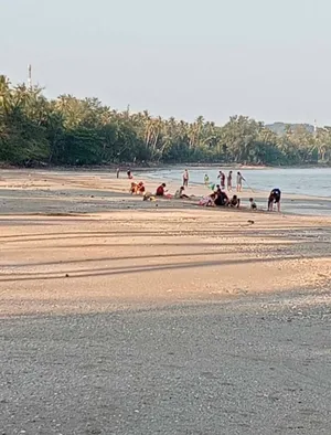 Land sea front for sale (ขายที่ดินติดทะเล)