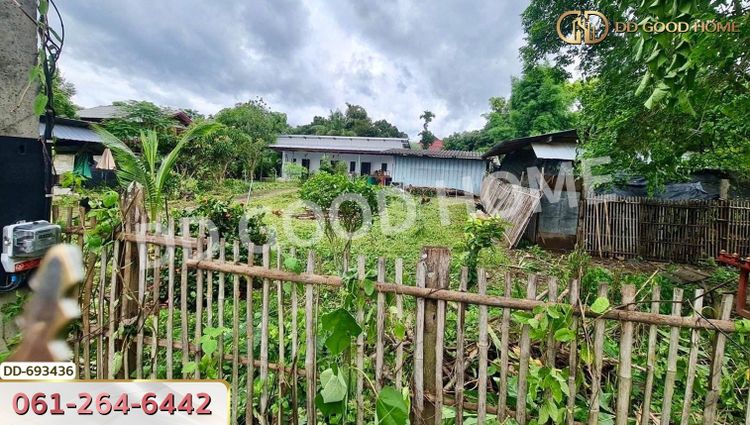 ที่ดินปาย 300 ตร.ว. แม่ฮ่องสอน ใกล้สนามบิน อ.ปาย, ภาพที่ 4