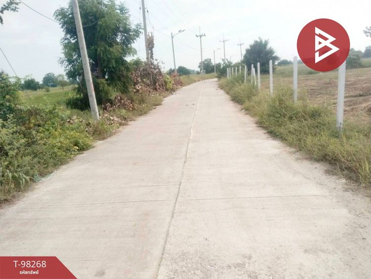 ขายที่ดิน เนื้อที่ 25 ไร่ โคกสำโรง ลพบุรี, ภาพที่ 4